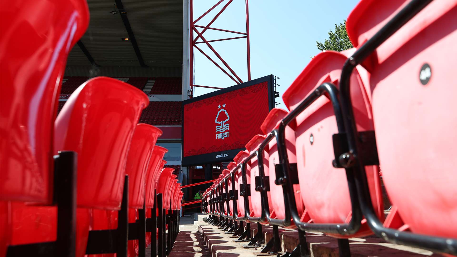 强的斗志 强的斗志